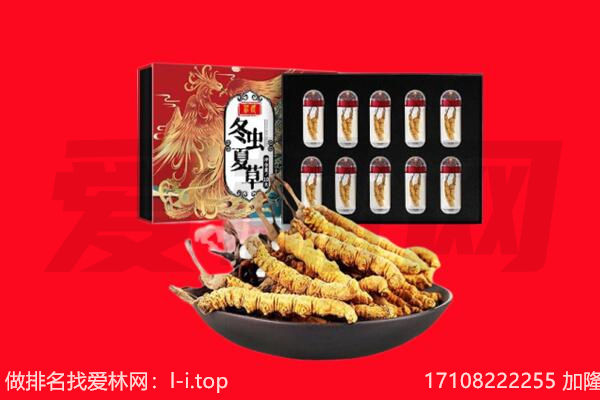 阜阳市回收虫草.jpg